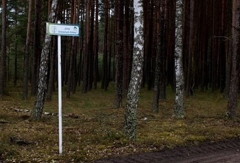 Leśna droga i znak