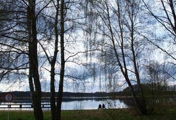 Jezioro Kosiakowo między drzewami 