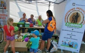 4. FESTIWAL KGW I NGO GMINY MIROSŁAWIEC