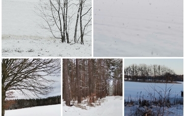 Zimowy kolaż zdjęć 