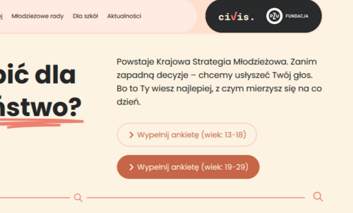 Krajowa strategia młodzieży- ankiety dla młodzieży i młodych dorosłych oraz osób pracujących z młodzieżą i młodymi dorosłymi 