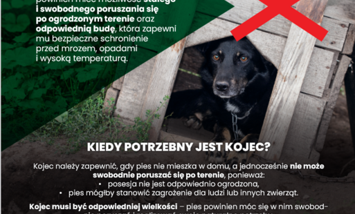Ulotka Ustawa Łańcuchowa 
