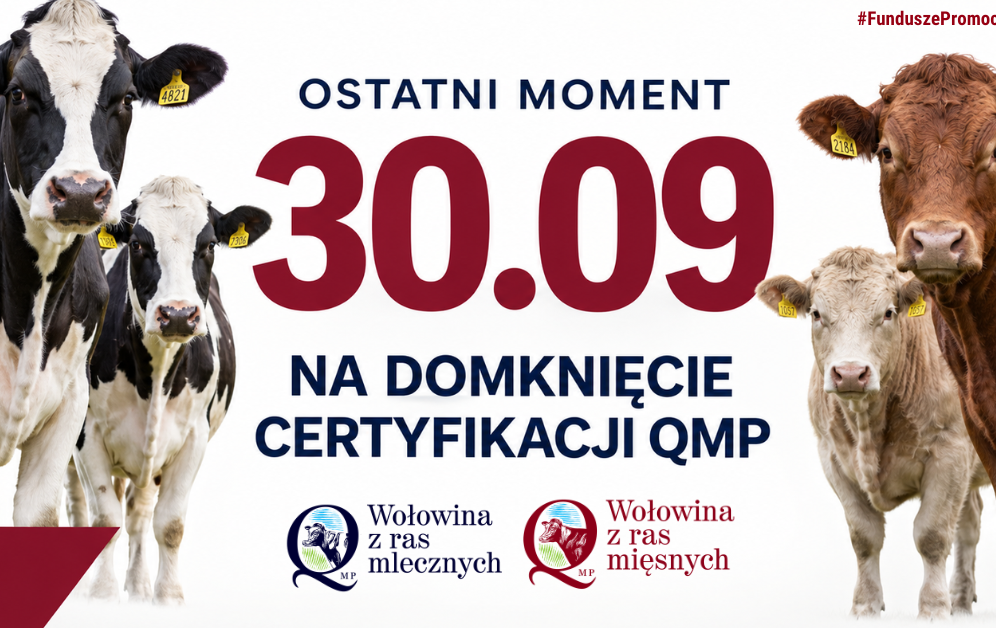Zdjęcie artykułu z dnia 28-09-2026